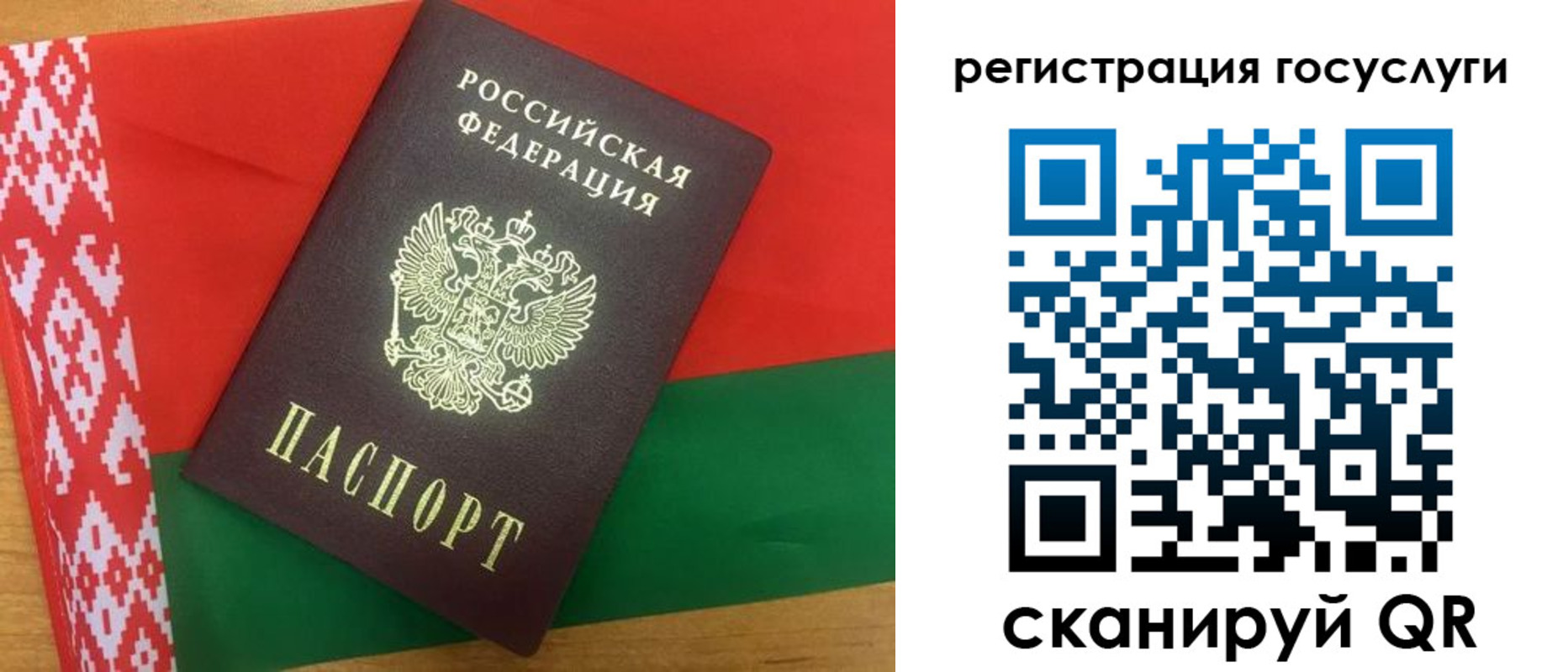 временная регистрация поиск в Снежногорске